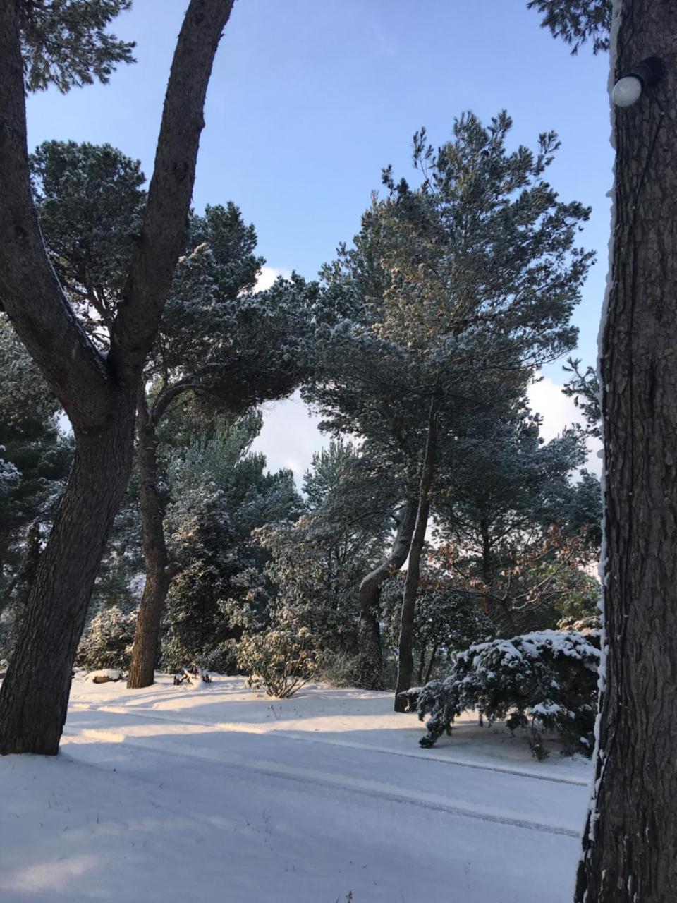Отель Il Colle Delle Terrazze Фано Экстерьер фото